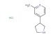 2-methyl-4-(pyrrolidin-3-yl)pyridine hydrochloride