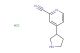 4-(pyrrolidin-3-yl)picolinonitrile hydrochloride
