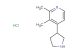 2,3-dimethyl-4-(pyrrolidin-3-yl)pyridine hydrochloride