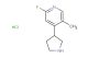 2-fluoro-5-methyl-4-(pyrrolidin-3-yl)pyridine hydrochloride