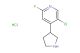 5-chloro-2-fluoro-4-(pyrrolidin-3-yl)pyridine hydrochloride