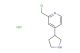 2-(chloromethyl)-4-(pyrrolidin-3-yl)pyridine hydrochloride