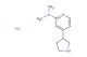 N,N-dimethyl-4-(pyrrolidin-3-yl)pyridin-2-amine hydrochloride