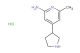 6-methyl-4-(pyrrolidin-3-yl)pyridin-2-amine hydrochloride