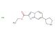 ethyl 7-(pyrrolidin-3-yl)imidazo[1,2-a]pyridine-2-carboxylate hydrochloride