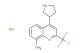 8-methyl-4-(pyrrolidin-3-yl)-2-(trifluoromethyl)quinoline hydrochloride