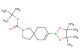 tert-butyl 8-(4,4,5,5-tetramethyl-1,3,2-dioxaborolan-2-yl)-2-azaspiro[4.5]dec-7-ene-2-carboxylate