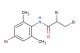 2,3-dibromo-N-(4-bromo-2,6-dimethylphenyl)propanamide
