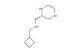(S)-1-cyclobutyl-N-(piperazin-2-ylmethyl)methanamine