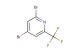 2,4-dibromo-6-(trifluoromethyl)pyridine