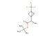 tert-butyl (2S)-2-amino-2-[3-(trifluoromethyl)-1-bicyclo[1.1.1]pentanyl]acetate