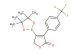 4-(4,4,5,5-tetramethyl-1,3,2-dioxaborolan-2-yl)-3-(4-(trifluoromethyl)phenyl)furan-2(5H)-one