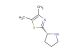 4,5-dimethyl-2-[(2R)-pyrrolidin-2-yl]-1,3-thiazole