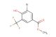 methyl 3-bromo-4-hydroxy-5-(trifluoromethyl)benzoate
