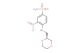 (S)-4-(((1,4-Dioxan-2-yl)methyl)amino)-3-nitrobenzenesulfonamide