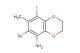6-Bromo-8-iodo-7-methyl-2,3-dihydrobenzo[b][1,4]dioxin-5-amine