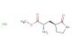(S)-Methyl 2-amino-3-((S)-2-oxopyrrolidin-3-yl)propanoate hydrochloride
