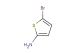 5-Bromothiophen-2-amine