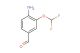 4-amino-3-(difluoromethoxy)benzaldehyde