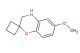 6-methoxy-3,4-dihydrospiro[benzo[b][1,4]oxazine-2,1'-cyclobutane]