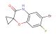 6-bromo-7-fluorospiro[benzo[b][1,4]oxazine-2,1'-cyclopropan]-3(4H)-one