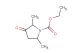 Ethyl 2,5-dimethyl-3-oxopyrrolidine-1-carboxylate