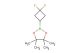 2-(3,3-Difluorocyclobutyl)-4,4,5,5-tetramethyl-1,3,2-dioxaborolane