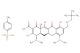Omadacycline tosylate(Synonyms: PTK 0796 tosylate; Amadacycline tosylate)