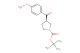 tert-butyl (R)-3-(4-methoxybenzoyl)pyrrolidine-1-carboxylate