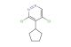 3,5-dichloro-4-cyclopentylpyridazine