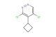 3,5-dichloro-4-cyclobutylpyridazine