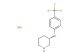 (S)-3-(4-(trifluoromethyl)phenoxy)piperidine hydrochloride