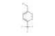 3-(chloromethyl)-6-(trifluoromethyl)pyridazine