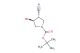tert-butyl (3S,4S)-3-cyano-4-hydroxypyrrolidine-1-carboxylate