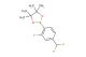 2-(4-(difluoromethyl)-2-fluorophenyl)-4,4,5,5-tetramethyl-1,3,2-dioxaborolane