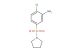 2-Chloro-5-(pyrrolidin-1-ylsulfonyl)aniline