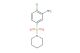 2-chloro-5-piperidin-1-ylsulfonylaniline