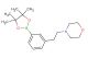 4-(3-(4,4,5,5-tetramethyl-1,3,2-dioxaborolan-2-yl)phenethyl)morpholine