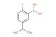 2-fluoro-5-isopropylphenylboronic acid