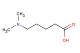 5-(dimethylamino)pentanoicacid
