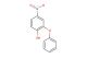 4-Nitro-2-phenoxyphenol