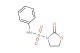 2-oxo-N-phenyloxazolidine-3-sulfonamide