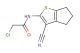 2-chloro-N-(3-cyano-5,6-dihydro-4H-cyclopenta[b]thiophen-2-yl)acetamide