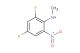 2,4-difluoro-N-methyl-6-nitroaniline