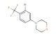 4-(3-bromo-4-(trifluoromethyl)phenyl)morpholine