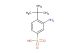 3-amino-4-(tert-butyl)benzenesulfonic acid