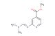 methyl (E)-2-(((dimethylamino)methylene)amino)isonicotinate