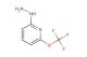 2-hydrazinyl-6-(trifluoromethoxy)pyridine