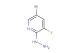 5-bromo-3-fluoro-2-hydrazinylpyridine