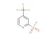 4-(trifluoromethyl)pyridine-2-sulfonyl fluoride